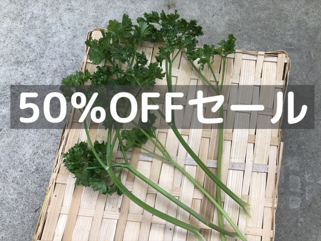パラマウントパセリ うさぎ用 野菜