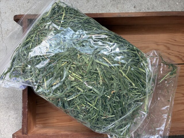 リーフイタリアンライグラス うさぎが食べやすい柔らかい牧草