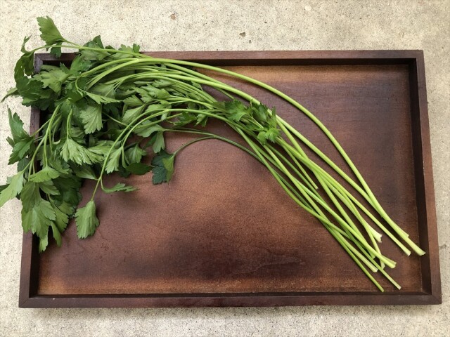 香りの強い野菜 うさぎ用イタリアンパセリ