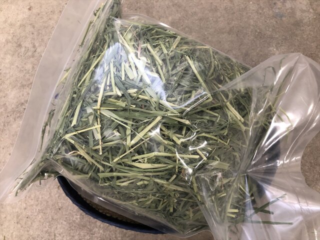 乾燥牧草ライムギ