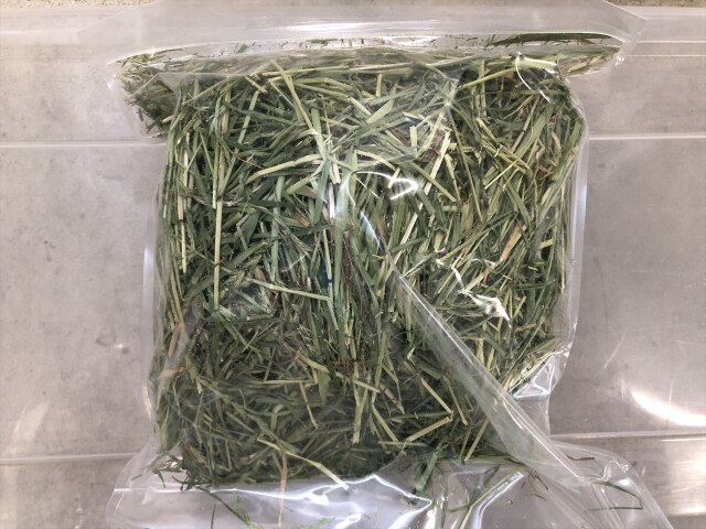 胃腸を動かす牧草 うさぎ