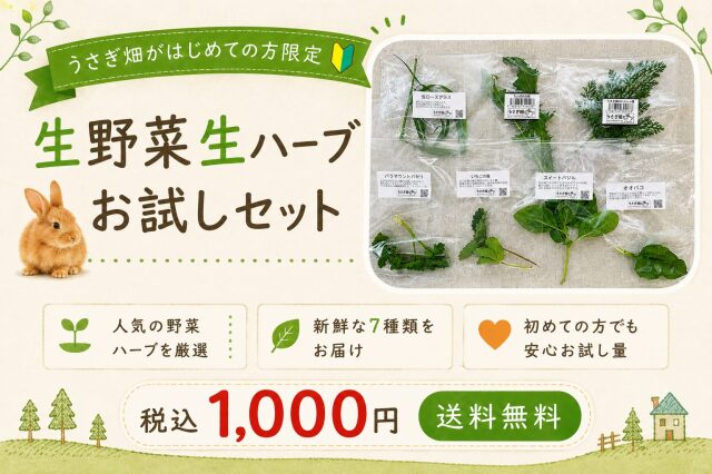 生野菜生ハーブお試しセット