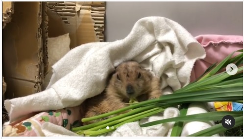 うさぎ畑,ユーザーフォト,Instagram