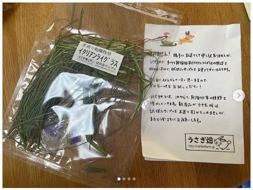 うさぎ畑,ユーザーフォト,Instagram