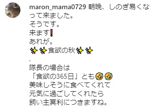うさぎ畑,ユーザーフォト,Instagram