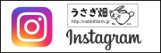 インスタグラム