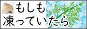 もしも凍っていたら