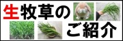 うさぎ,生牧草