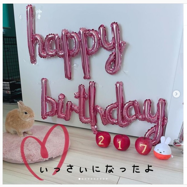 うさぎ畑,ユーザーフォト
