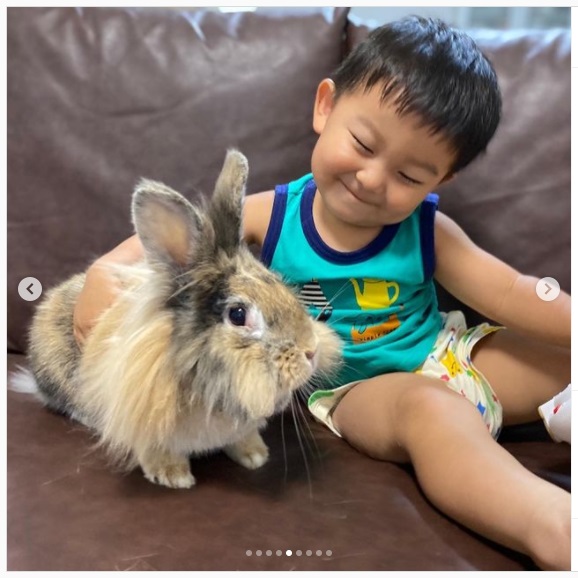 うさぎ畑,ユーザーフォト,Instagram