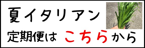 定期,バナー