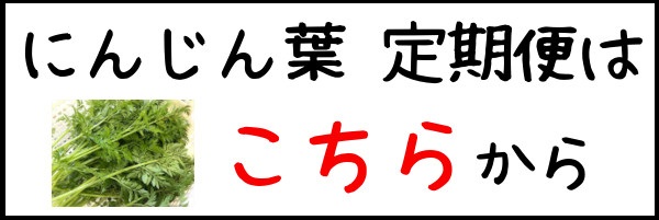 うさぎ,にんじん葉