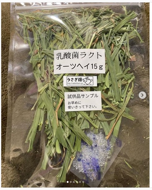 うさぎ畑,ユーザーフォト,Instagram
