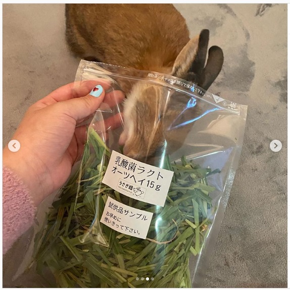 うさぎ畑,ユーザーフォト,Instagram