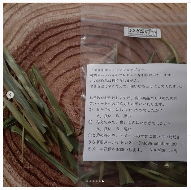 うさぎ畑,ユーザーフォト