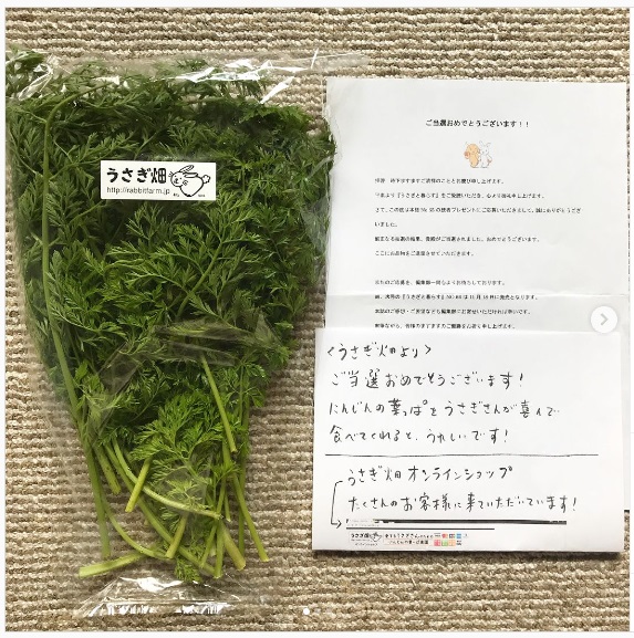 うさぎ畑,ユーザーフォト,Instagram