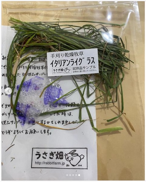 うさぎ畑,ユーザーフォト,Instagram
