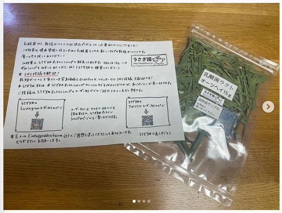 うさぎ畑,ユーザーフォト,Instagram