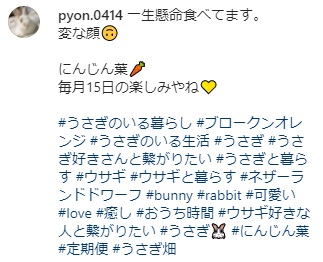 うさぎ畑,ユーザーフォト,Instagram