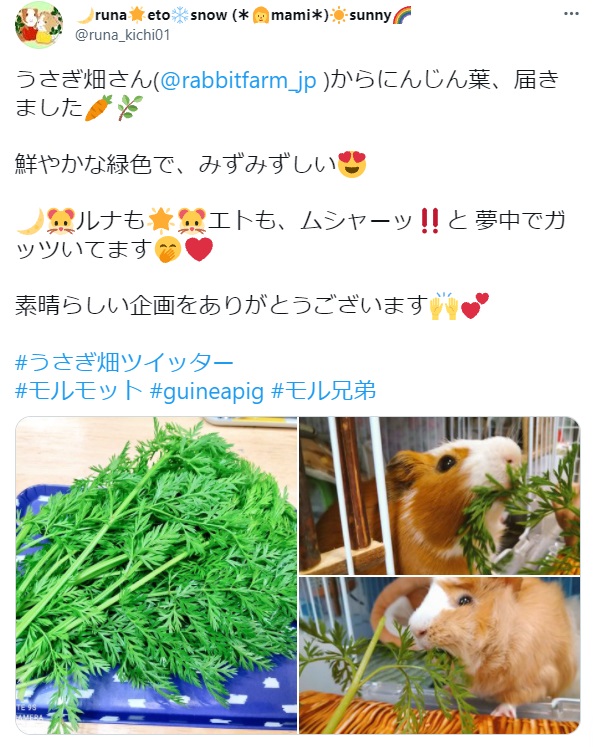 うさぎ畑,ユーザーフォト,Twitter