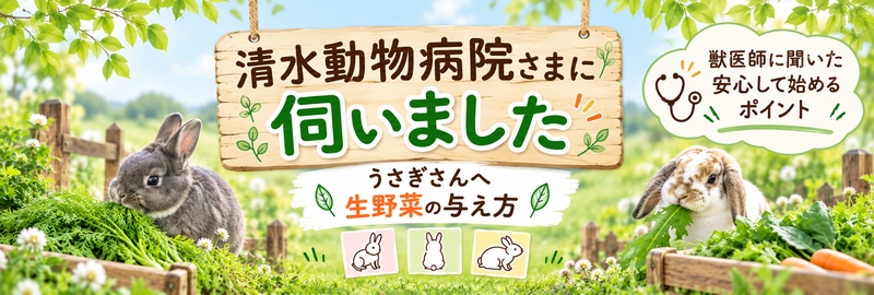 清水動物病院うさぎへの生野菜の与え方