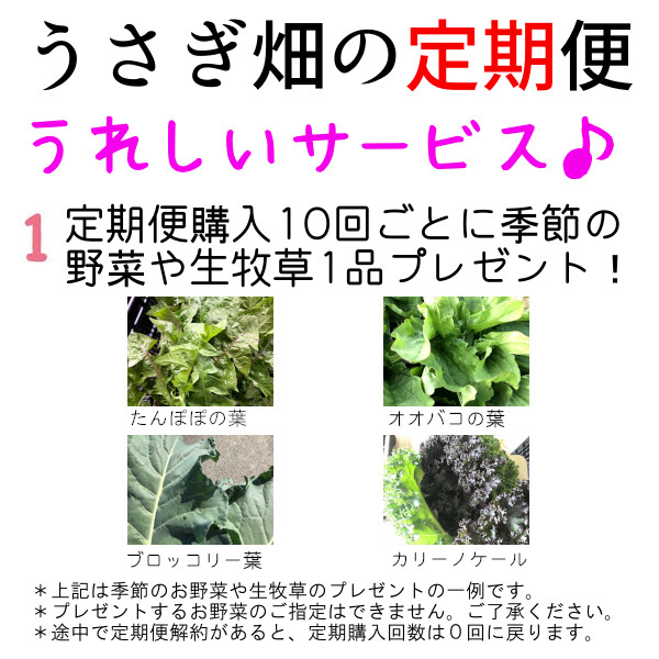 定期便の野菜 種類が増えました うさぎ畑オンラインショップ にんじん葉と生牧草農園 定期便の野菜 種類が増えました うさぎ畑オンラインショップ にんじん葉と生牧草農園