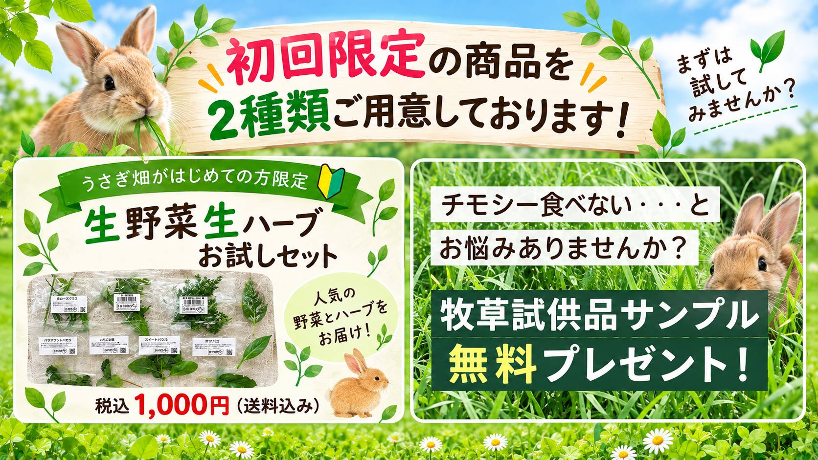 初回限定商品を２種類ご用意