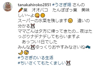 うさぎ畑,ユーザーフォト,Instagram