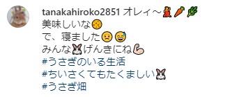 うさぎ畑,ユーザーフォト,Instagram