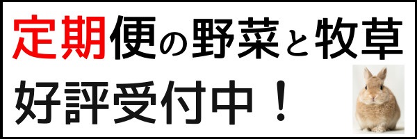 定期,バナー,好評受付中