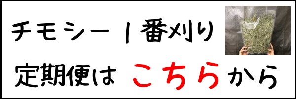 チモシー,定期,バナー