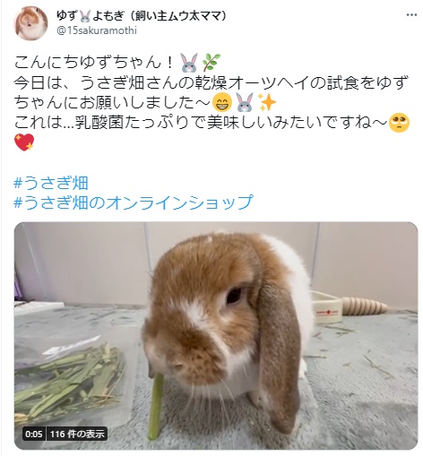 うさぎ畑,ユーザーフォト,Twitter