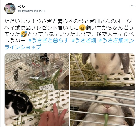 うさぎ畑,ユーザーフォト,Twitter