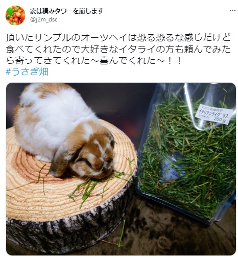 うさぎ畑,ユーザーフォト,Twitter