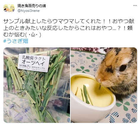 うさぎ畑,ユーザーフォト,Twitter