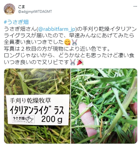 うさぎ畑,ユーザーフォト,Twitter