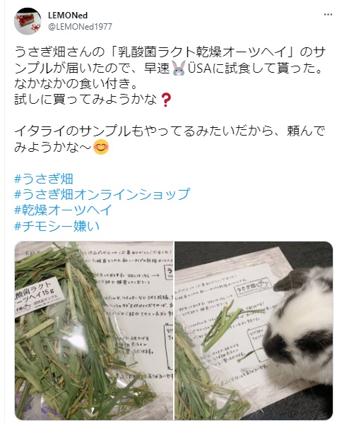 うさぎ畑,ユーザーフォト,Twitter