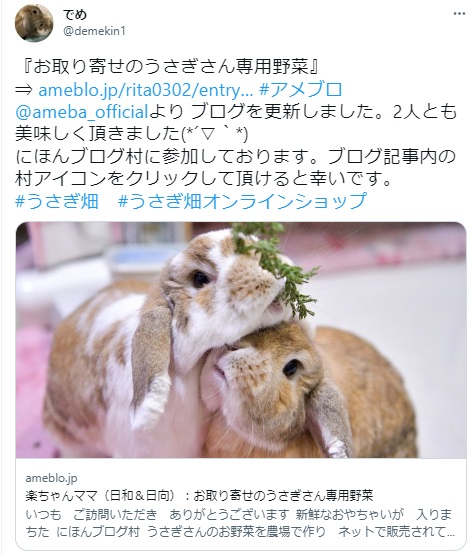 うさぎ畑,ユーザーフォト,Twitter