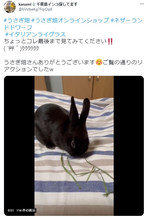 うさぎ畑,ユーザーフォト,Twitter