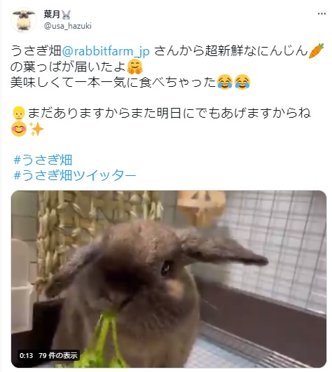 うさぎ畑,ユーザーフォト,Twitter