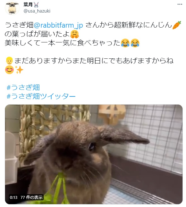 うさぎ畑,ユーザーフォト,Twitter