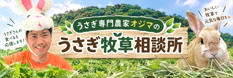 うさぎ専門農家オジマのうさぎ牧草相談所