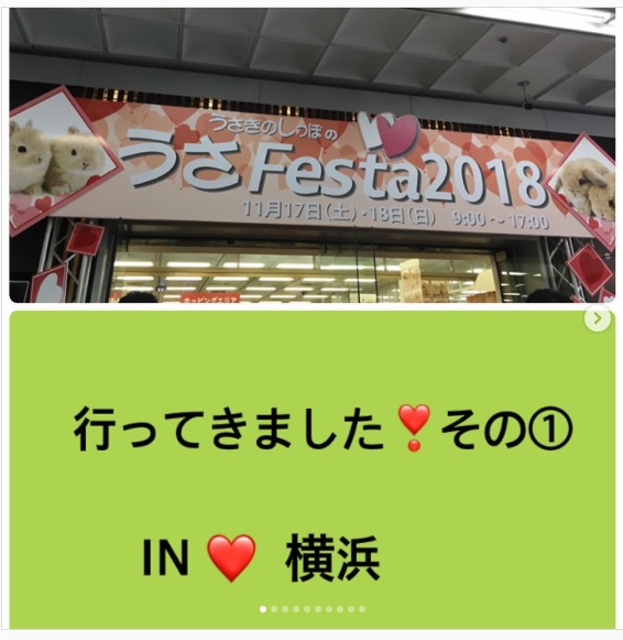うさぎ畑,ユーザーフォト,Instagram