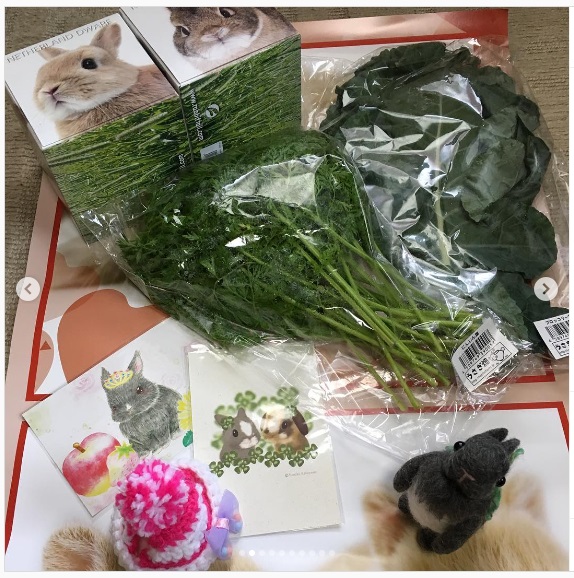 うさぎ畑,ユーザーフォト,Instagram