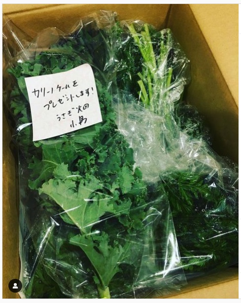 うさぎ畑,ユーザーフォト,Instagram