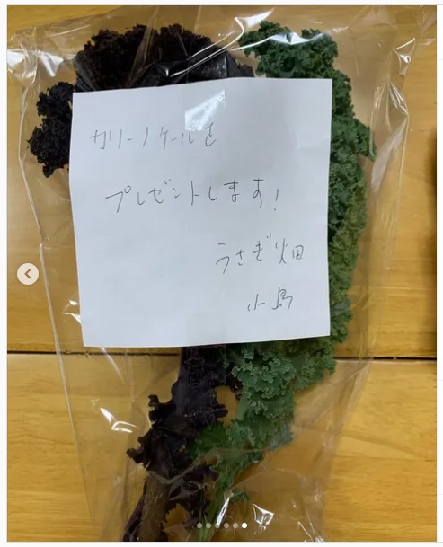 うさぎ畑,ユーザーフォト,Instagram