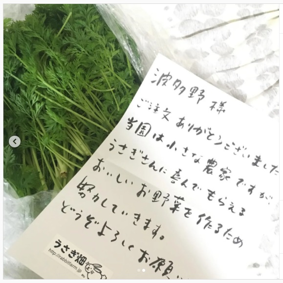 うさぎ畑,ユーザーフォト,Instagram