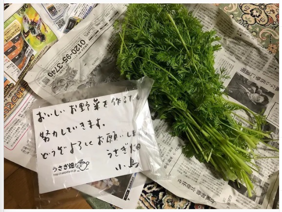 うさぎ畑,ユーザーフォト,Instagram