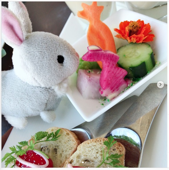 うさぎ畑,ユーザーフォト,Instagram