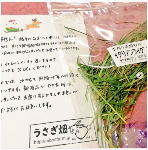 うさぎ畑,ユーザーフォト,Instagram